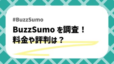 【2024年最新】BuzzSumo（バズスモ）の料金や評判は？導入のメリット・デメリットを徹底解説！